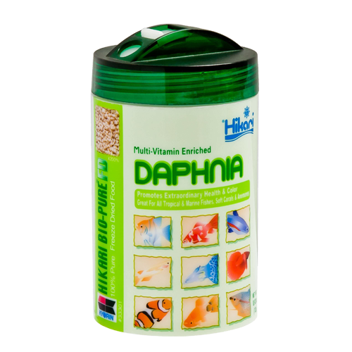 FD Daphnia